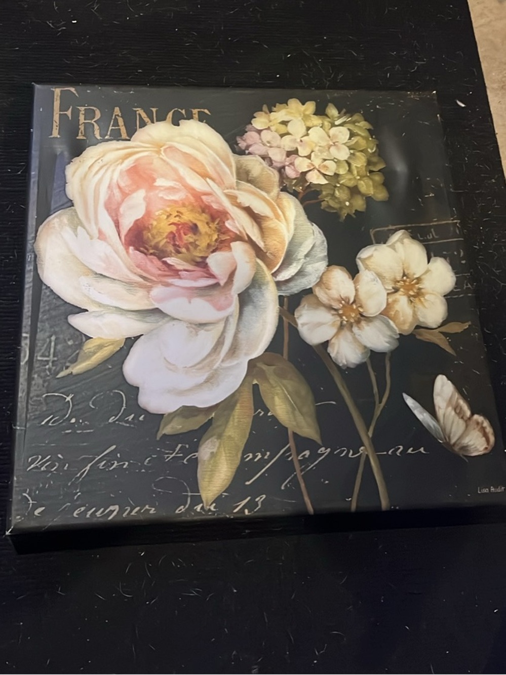 Floral Canvas Wall Art - Blush and Cream Flowers on Black